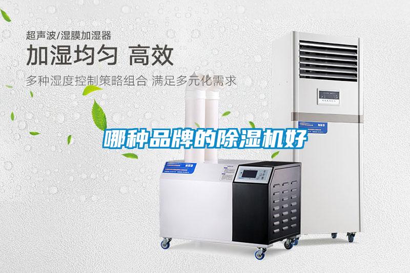 哪种品牌的麻豆视频黄网站好