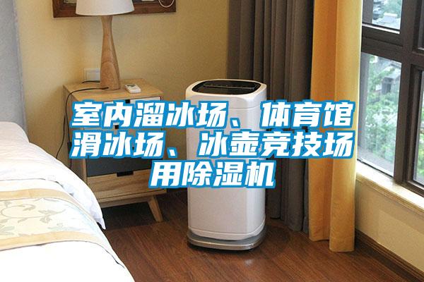 室内溜冰场、体育馆滑冰场、冰壶竞技场用麻豆视频黄网站