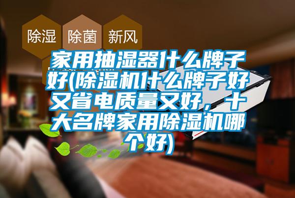 家用抽湿器什么牌子好(麻豆视频黄网站什么牌子好又省电质量又好，十大名牌家用麻豆视频黄网站哪个好)