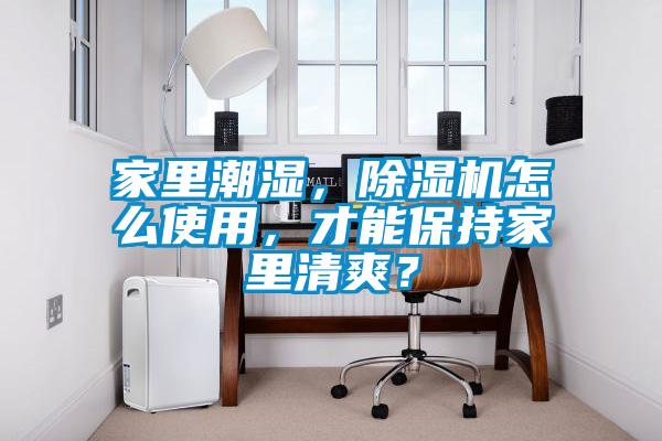 家里潮湿，麻豆视频黄网站怎么使用，才能保持家里清爽？