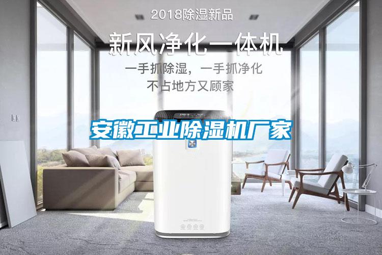 安徽工业麻豆视频黄网站厂家