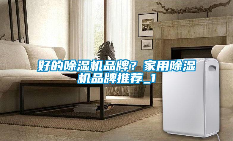 好的麻豆视频黄网站品牌？家用麻豆视频黄网站品牌推荐_1