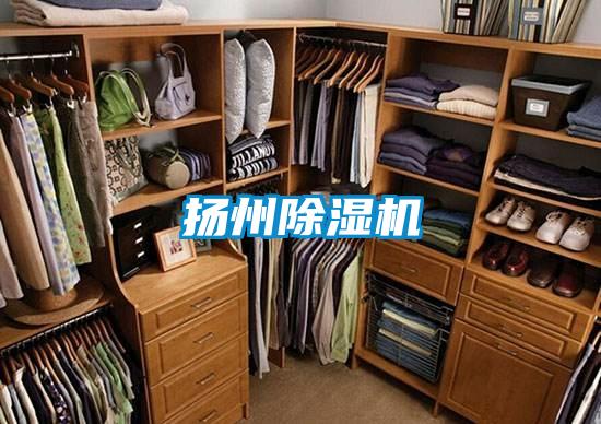扬州麻豆视频黄网站