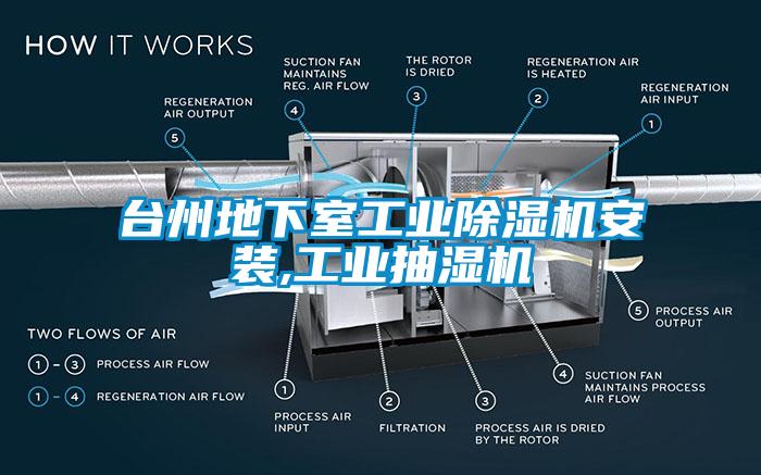 台州地下室工业麻豆视频黄网站安装,工业抽湿机