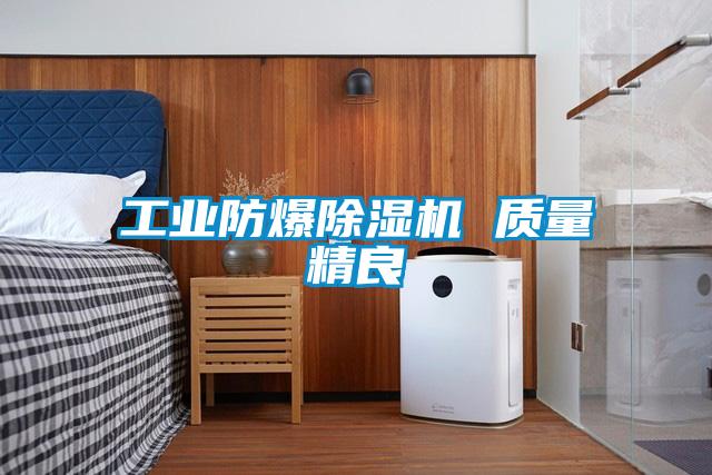 工业防爆麻豆视频黄网站 质量精良