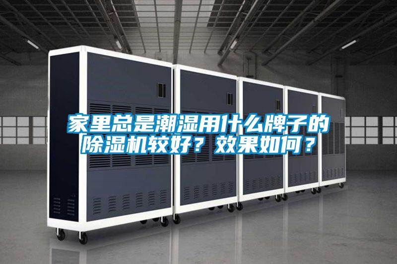 家里总是潮湿用什么牌子的麻豆视频黄网站较好？效果如何？