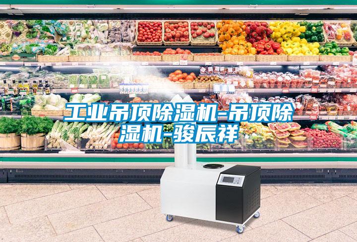 工业吊顶麻豆视频黄网站-吊顶麻豆视频黄网站-骏辰祥