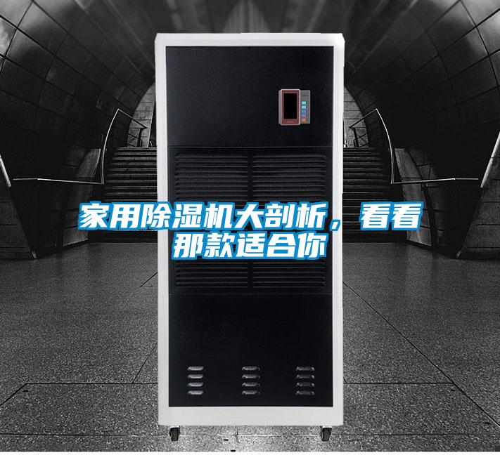 家用麻豆视频黄网站大剖析，看看那款适合你