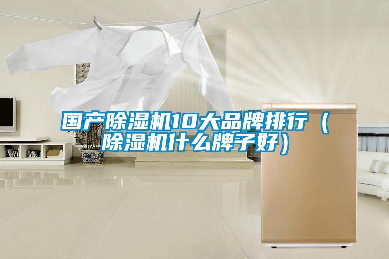 国产麻豆视频黄网站10大品牌排行（麻豆视频黄网站什么牌子好）