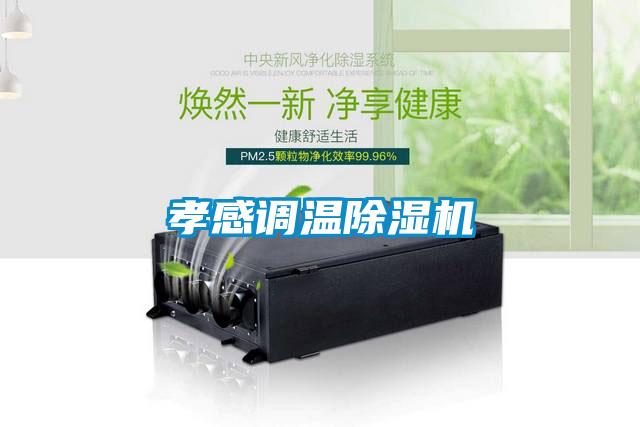 孝感调温麻豆视频黄网站