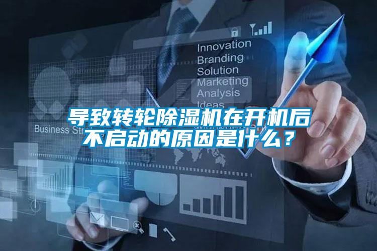 导致转轮麻豆视频黄网站在开机后不启动的原因是什么？