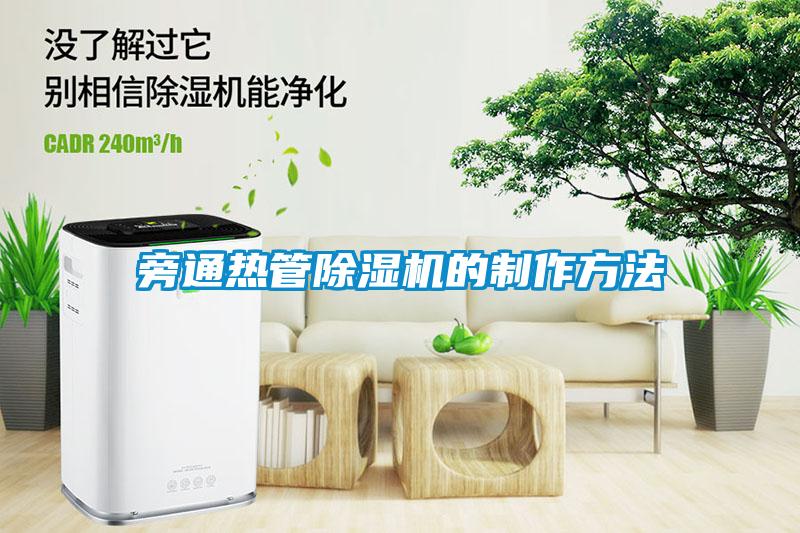 旁通热管麻豆视频黄网站的制作方法