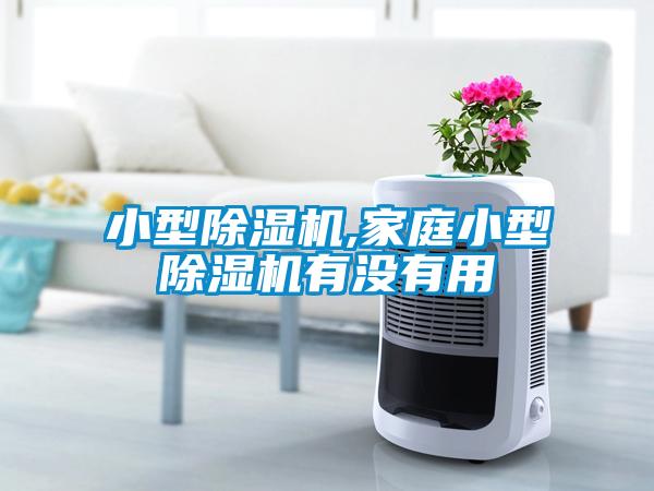 小型麻豆视频黄网站,家庭小型麻豆视频黄网站有没有用