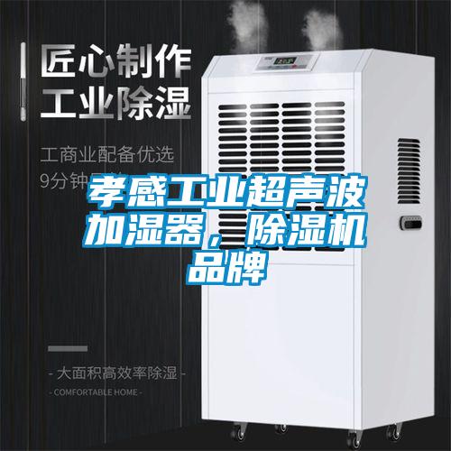 孝感工业超声波加湿器，麻豆视频黄网站品牌