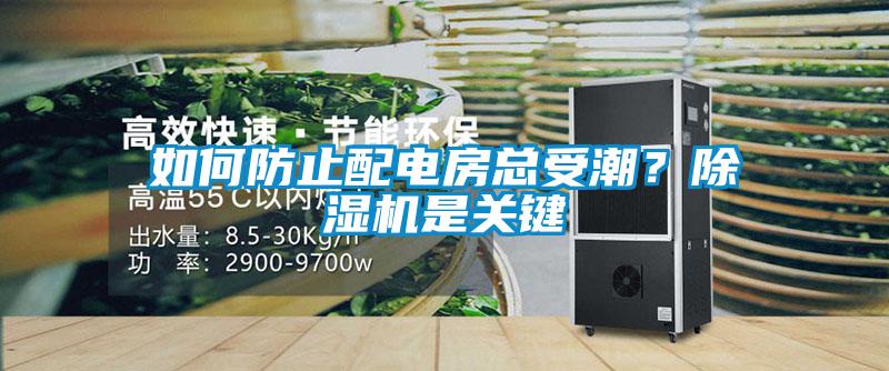 如何防止配电房总受潮？麻豆视频黄网站是关键
