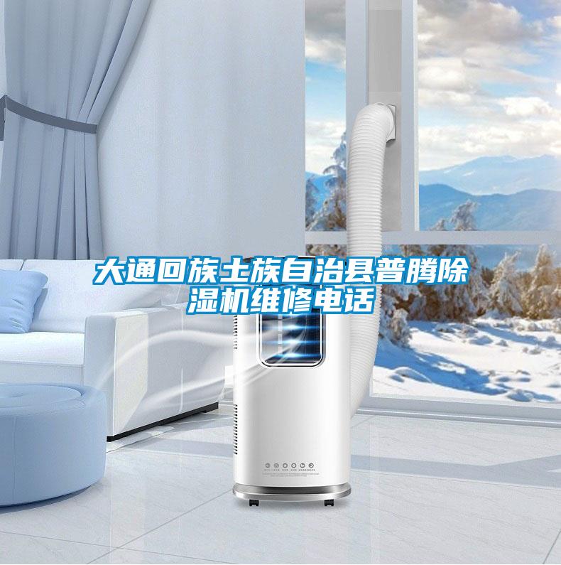 大通回族土族自治县普腾麻豆视频黄网站维修电话