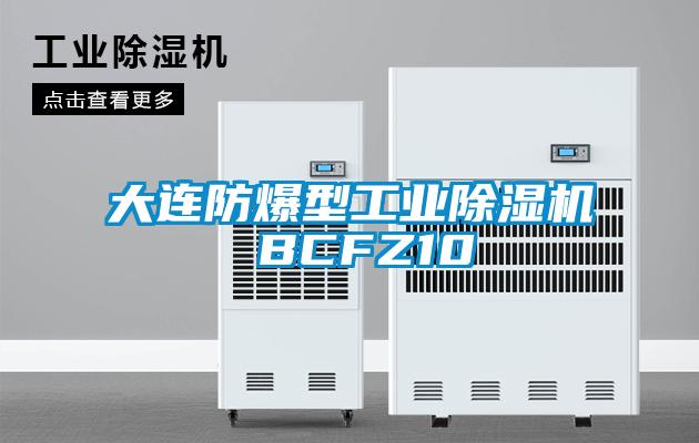 大连防爆型工业麻豆视频黄网站 BCFZ10
