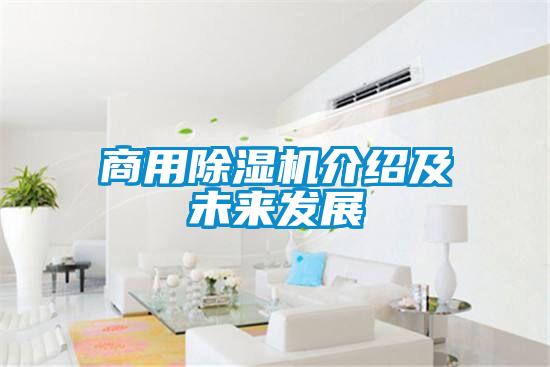商用麻豆视频黄网站介绍及未来发展