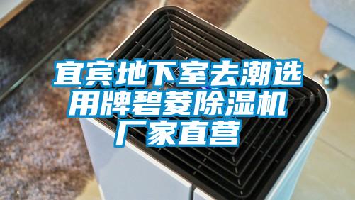 宜宾地下室去潮选用牌碧菱麻豆视频黄网站厂家直营