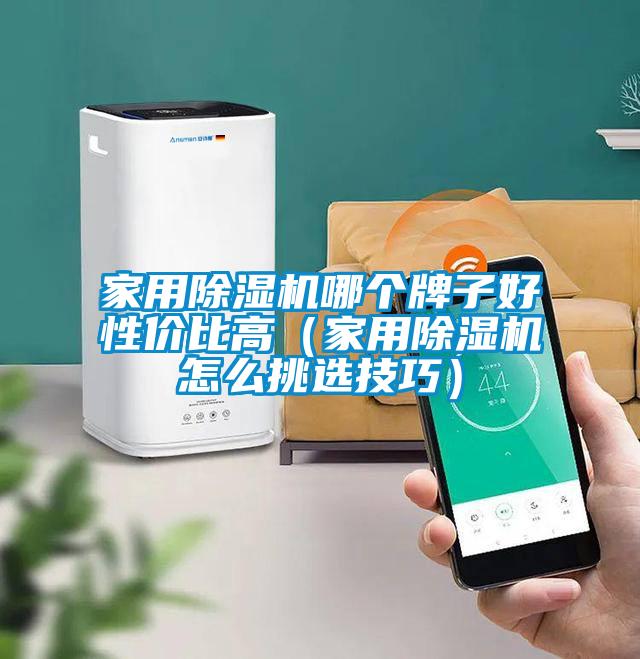 家用麻豆视频黄网站哪个牌子好性价比高（家用麻豆视频黄网站怎么挑选技巧）
