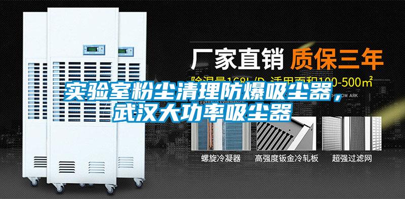 实验室粉尘清理防爆吸尘器，武汉大功率吸尘器