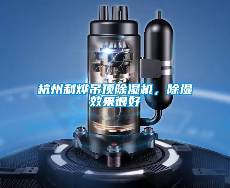 杭州利烨吊顶麻豆视频黄网站，除湿效果很好