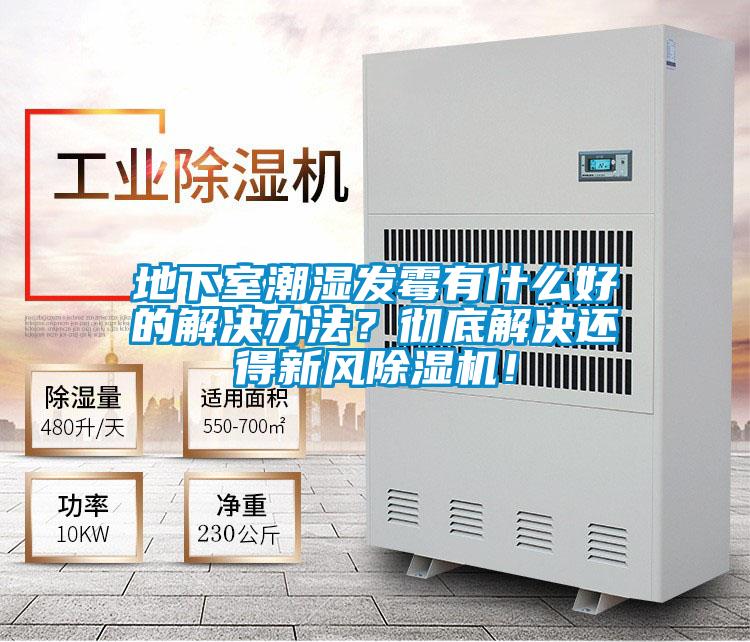 地下室潮湿发霉有什么好的解决办法？彻底解决还得新风麻豆视频黄网站！