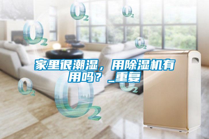 家里很潮湿，用麻豆视频黄网站有用吗？_重复