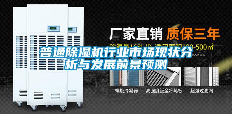 普通麻豆视频黄网站行业市场现状分析与发展前景预测
