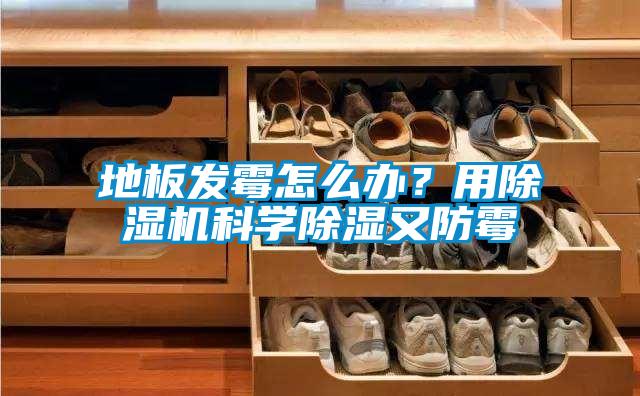 地板发霉怎么办？用麻豆视频黄网站科学除湿又防霉