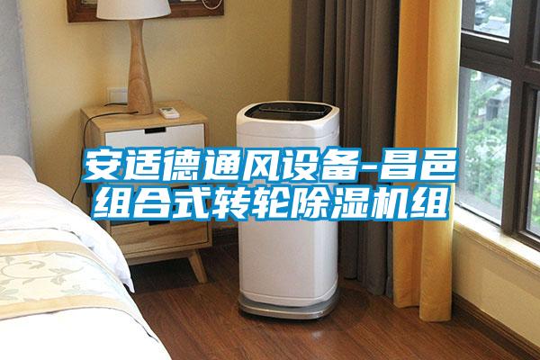 安适德通风设备-昌邑组合式转轮麻豆视频黄网站组