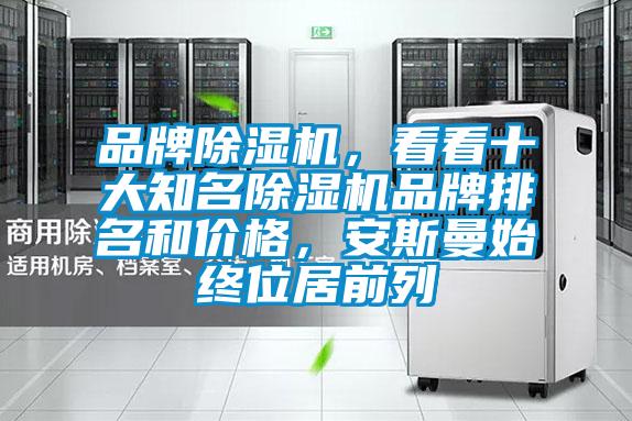品牌麻豆视频黄网站，看看十大知名麻豆视频黄网站品牌排名和价格，安斯曼始终位居前列
