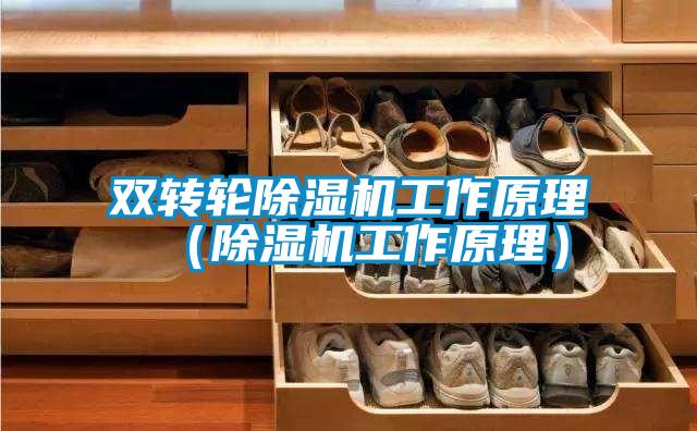 双转轮麻豆视频黄网站工作原理（麻豆视频黄网站工作原理）