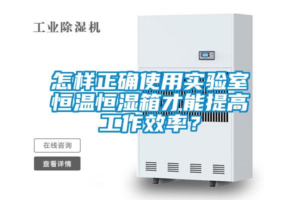 怎样正确使用实验室恒温恒湿箱才能提高工作效率？