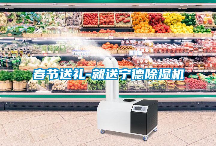 春节送礼-就送宁德麻豆视频黄网站