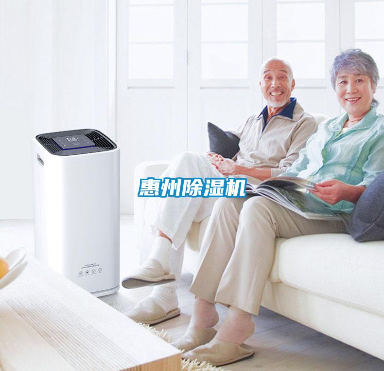 惠州麻豆视频黄网站