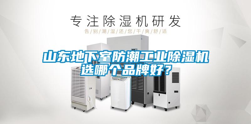 山东地下室防潮工业麻豆视频黄网站选哪个品牌好？