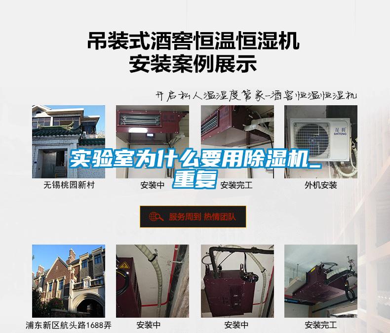 实验室为什么要用麻豆视频黄网站_重复