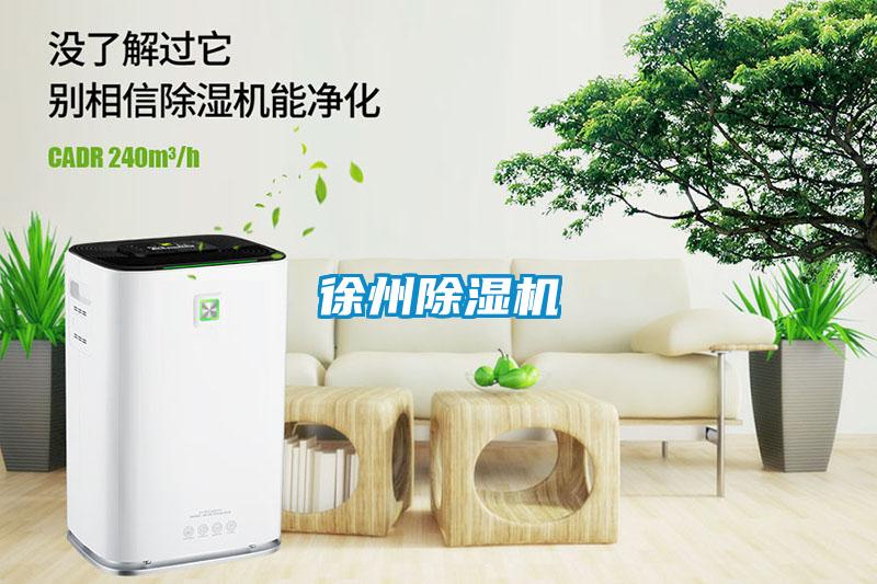 徐州麻豆视频黄网站