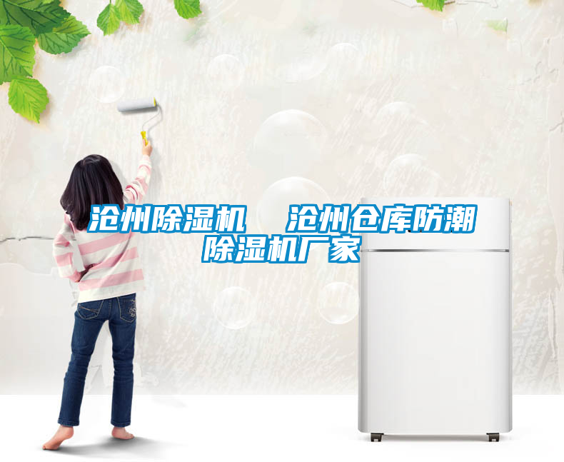 沧州麻豆视频黄网站  沧州仓库防潮麻豆视频黄网站厂家