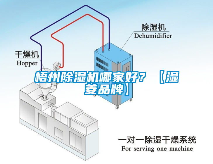 梧州麻豆视频黄网站哪家好？【湿菱品牌】