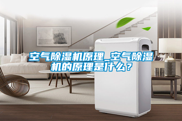 空气麻豆视频黄网站原理_空气麻豆视频黄网站的原理是什么？