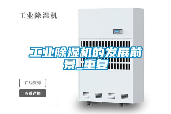 工业麻豆视频黄网站的发展前景_重复