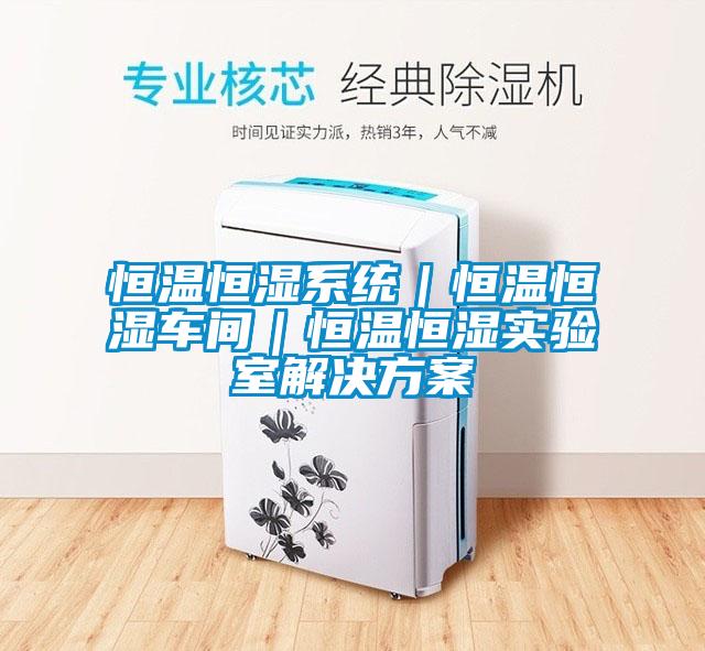 恒温恒湿系统｜恒温恒湿车间｜恒温恒湿实验室国产麻豆剧果冻传媒星空视频