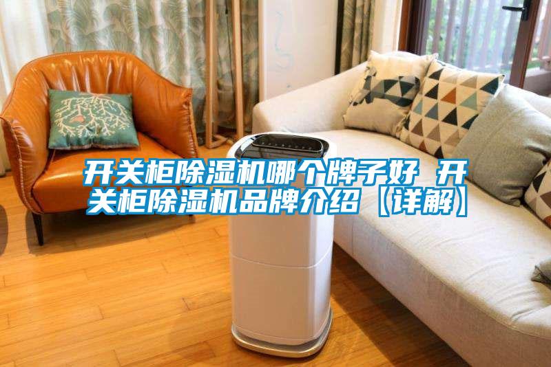 开关柜麻豆视频黄网站哪个牌子好 开关柜麻豆视频黄网站品牌介绍【详解】