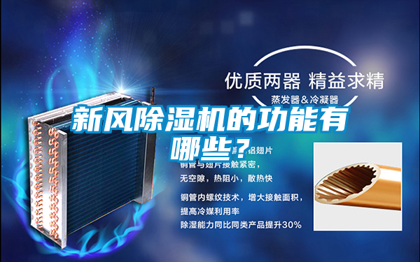 新风麻豆视频黄网站的功能有哪些？