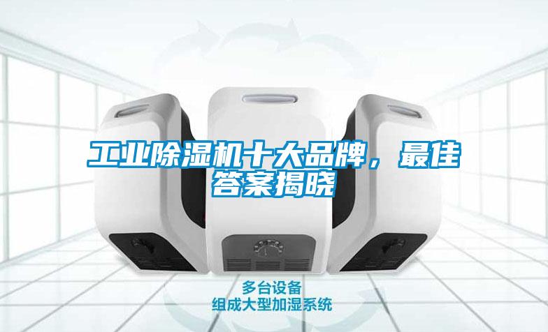工业麻豆视频黄网站十大品牌，最佳答案揭晓