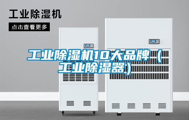 工业麻豆视频黄网站10大品牌（工业除湿器）