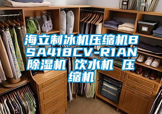 海立制冰机压缩机BSA418CV-R1AN麻豆视频黄网站 饮水机 压缩机