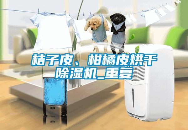 桔子皮、柑橘皮烘干麻豆视频黄网站_重复